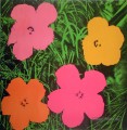 Fleurs Andy Warhol